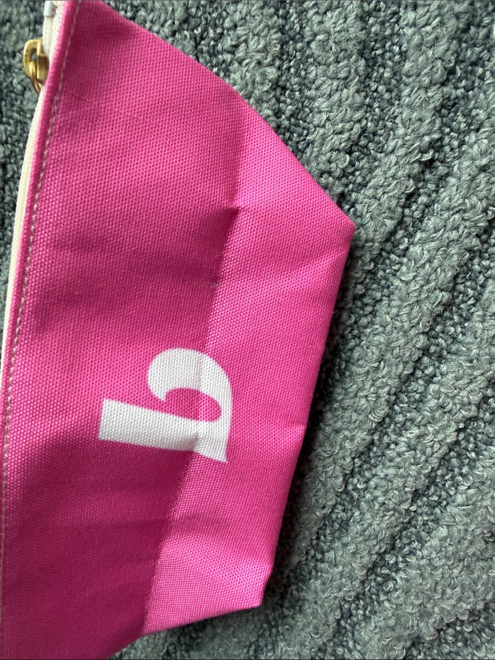 Beautycounter makeup bag